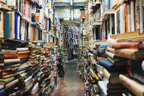 Reading - illustration